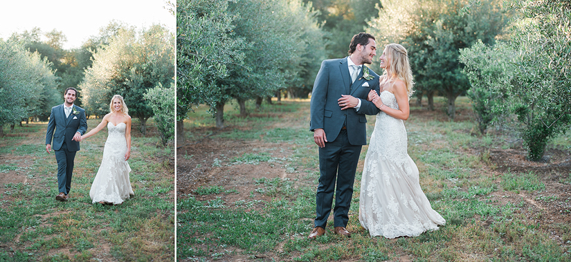 Olive Tree Grove Wedding