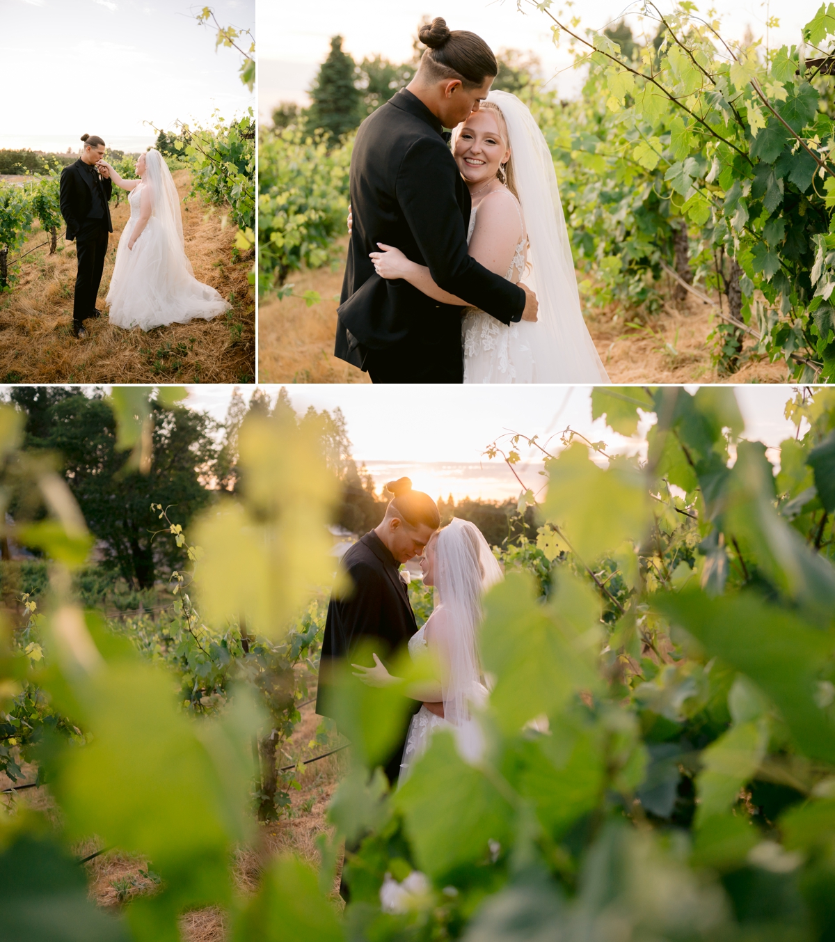 Biama Vineyards Wedding Photographer