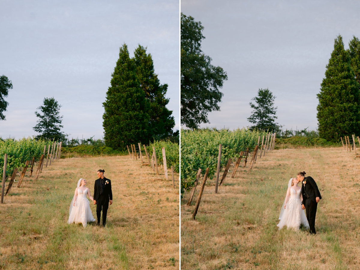 Biama Vineyards Wedding Photos