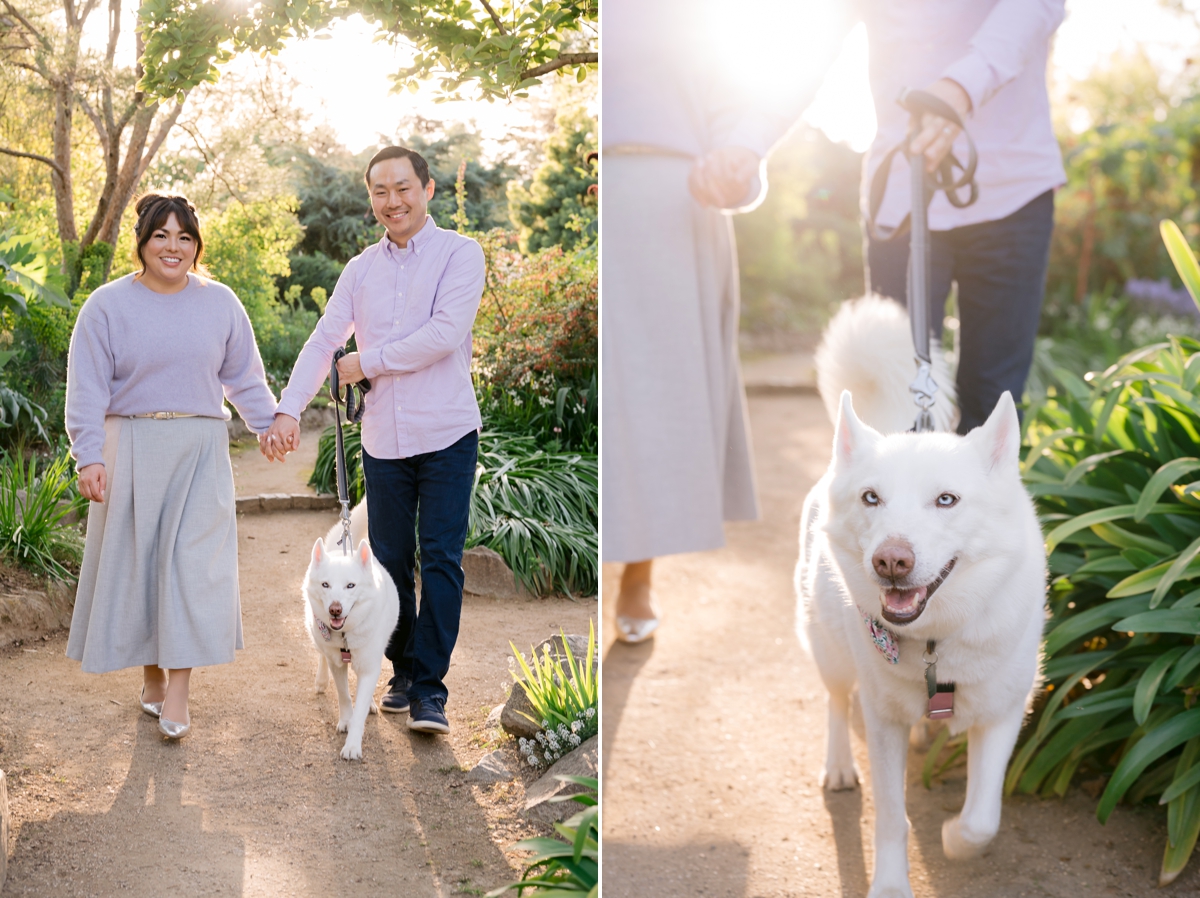 Sacramento Family Portrait Photographer Sacramento Family Portrait Photographer