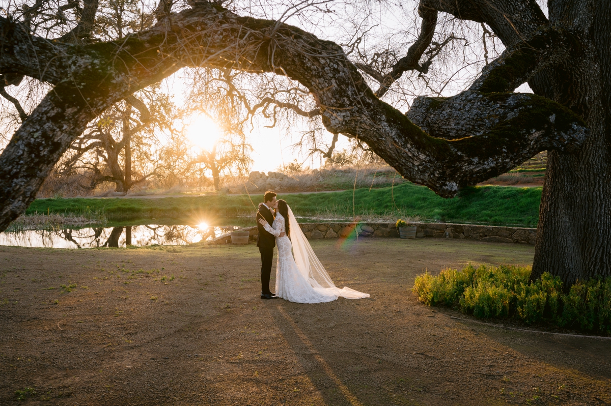 Vineyard Wedding Vineyard Wedding